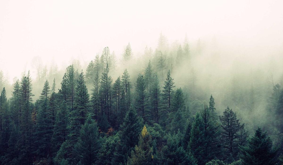 Inside choosing practical tools: notes, examples and checks
